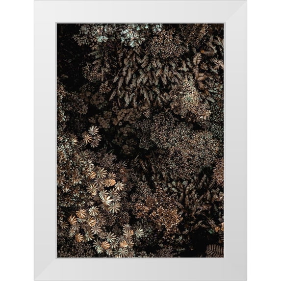 Design Fabrikken 18x24 White Modern Wood Framed Museum Art Print Titled - Secret 11