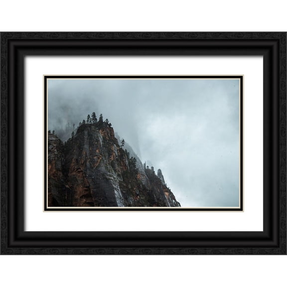 Design Fabrikken 24x17 Black Ornate Wood Framed with Double Matting Museum Art Print Titled - Bishop 5