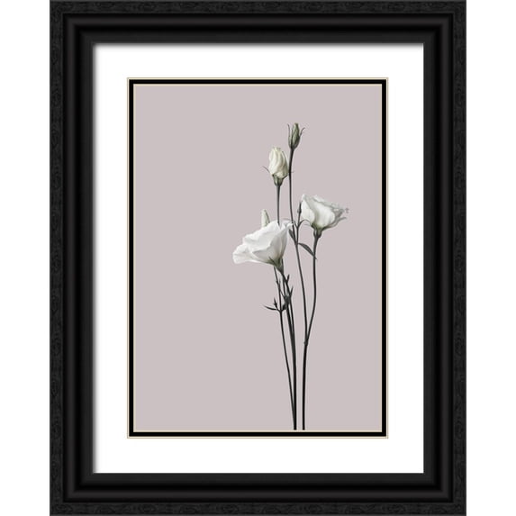 Design Fabrikken 24x32 Black Ornate Wood Framed with Double Matting Museum Art Print Titled - Flower 2