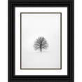 thumbnail image 1 of Design Fabrikken 24x32 Black Ornate Wood Framed with Double Matting Museum Art Print Titled - Solitary 1, 1 of 4