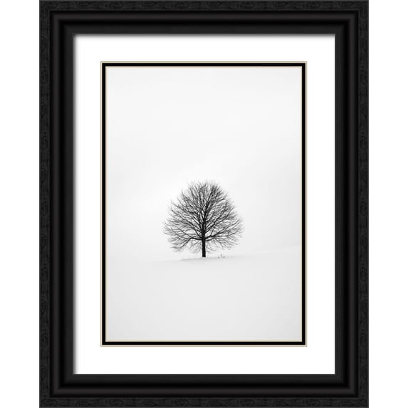 Design Fabrikken 24x32 Black Ornate Wood Framed with Double Matting Museum Art Print Titled - Solitary 1
