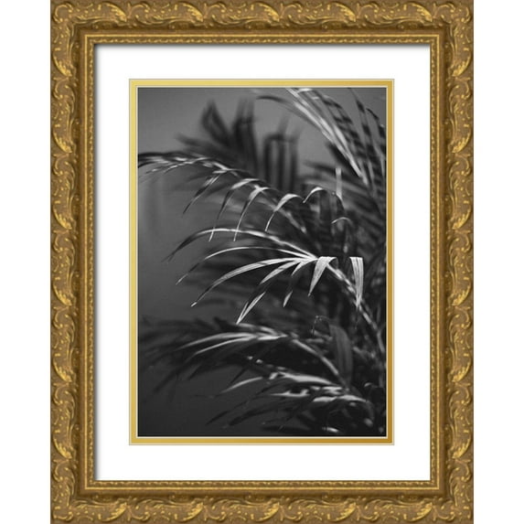 Design Fabrikken 24x32 Gold Ornate Wood Framed with Double Matting Museum Art Print Titled - Black Plant