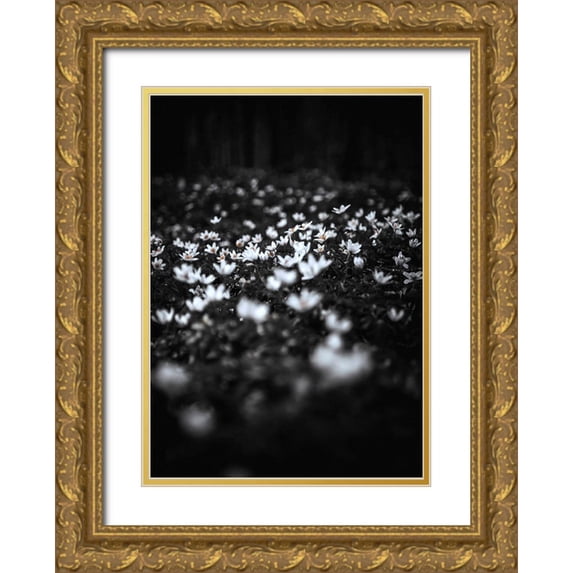Design Fabrikken 24x32 Gold Ornate Wood Framed with Double Matting Museum Art Print Titled - Windflowers