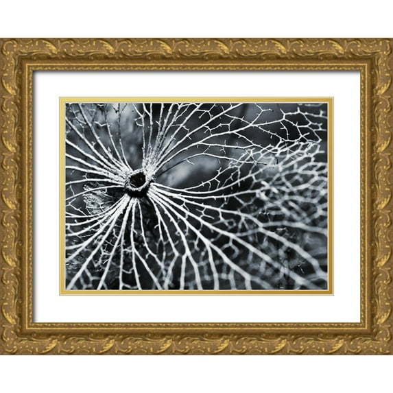 Design Fabrikken 32x24 Gold Ornate Wood Framed with Double Matting Museum Art Print Titled - Winterspell