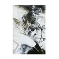 thumbnail image 1 of Design Fabrikken 'Black and White 1' Canvas Art, 1 of 3