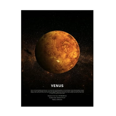 Design Fabrikken 'Venus' Canvas Art