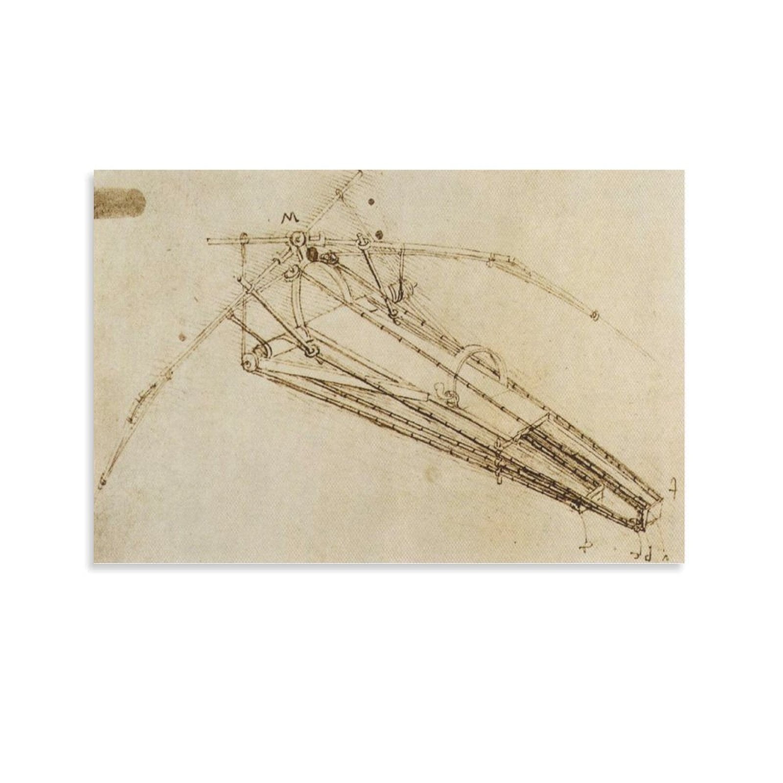 Design for A Flying Machine by Leonardo Da Vinci Posters Wall Art ...