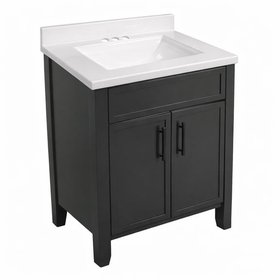 Design House Dawson 25-Inch Bathroom Vanity Combo, Ready to Assemble 2-Door Cabinet with Camilla Cultured Marble Top, Sherwin-Williams® Iron Ore, Matte Black Hardware, 228486-IO
