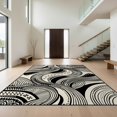 thumbnail image 1 of Design&I 4'x6' Ultra Soft Area Rug, Door Contemporary Graphic Sweeping Decorative Asymmetric Curved None Fluffy Washable Non Shedding for Bedroom Living Room Home Office, 1 of 7