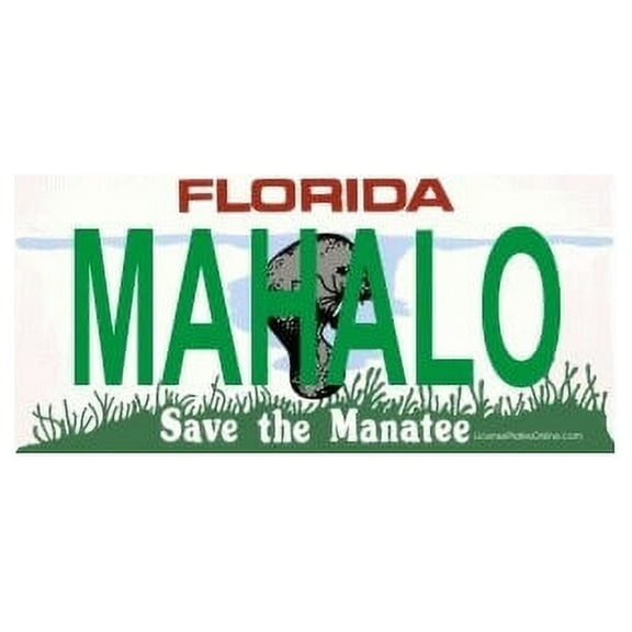 Design It Yourself Custom Florida Plate #3. Free Personalization on Plate