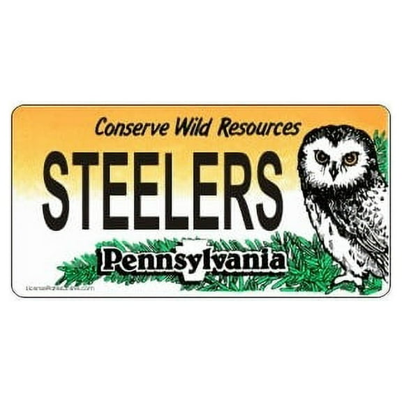 Design It Yourself Custom Pennsylvania Plate. Free Personalization on Plate