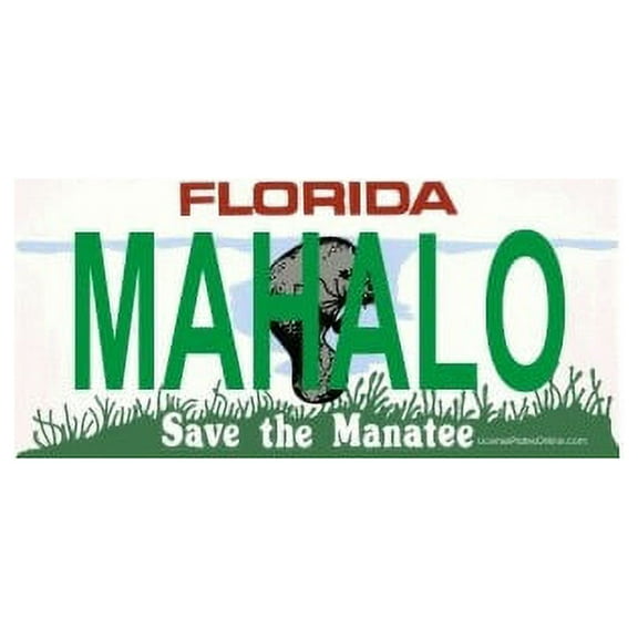 Design It Yourself Florida Bicycle Plate #3. Free Personalization on Plate