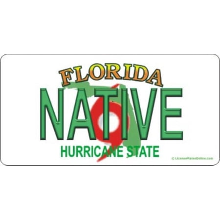 Design It Yourself Florida Bicycle Plate #4. Free Personalization on Plate