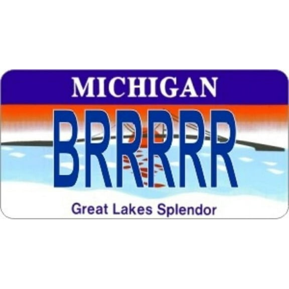 Design It Yourself Michigan State Look-Alike Plate. Free Personalization on Plate