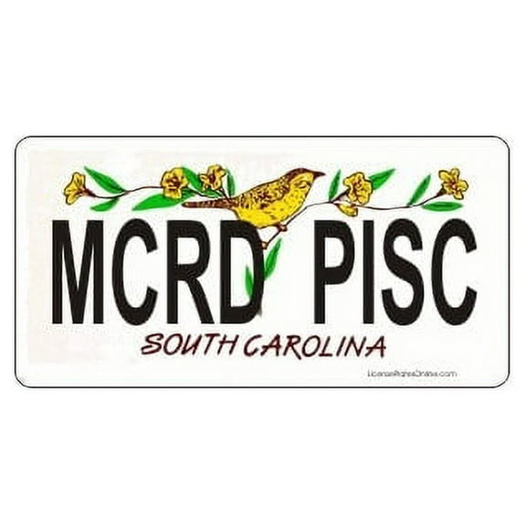 Design It Yourself S. Carolina Bicycle Plate #2. Free Personalization on Plate