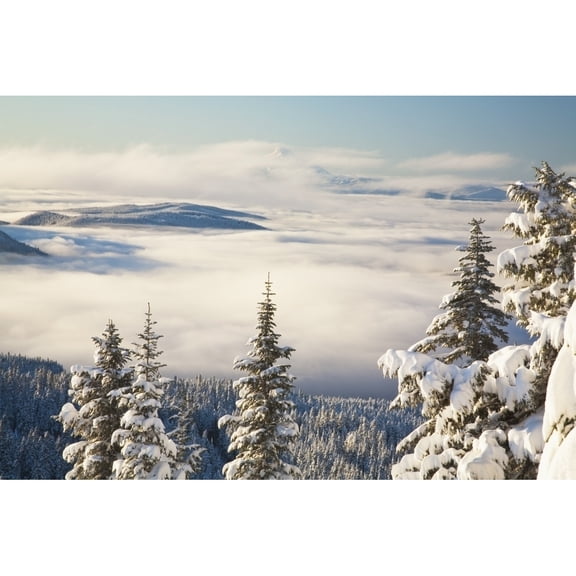 Design Pics DPI1868502 Winter Landscape with Clouds & Snow-Covered Trees - Oregon USA Poster Print, 19 x 12