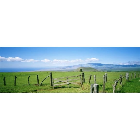 Design Pics DPI1976436LARGE USA Hawaii Mauna Kea in Background - Big Island Country Landscape with Pasture & Wooden Fence Kamuela Poster Print, 36 x 12 - Large