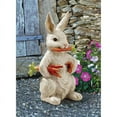 thumbnail image 1 of Design Toscano Carotene The Bunny Rabbit Garden Statue, 1 of 7