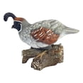thumbnail image 1 of Design Toscano Coco, the Quail Bird Statue, 1 of 2