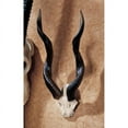 thumbnail image 1 of Design Toscano Kudu African Wall Trophy, 1 of 2