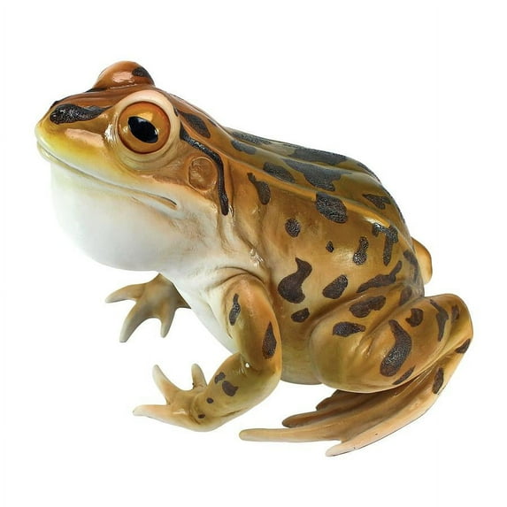 Design Toscano Lester, the Leopard Frog Statue