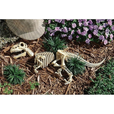 Design Toscano Raptor Skeleton Garden Sculpture