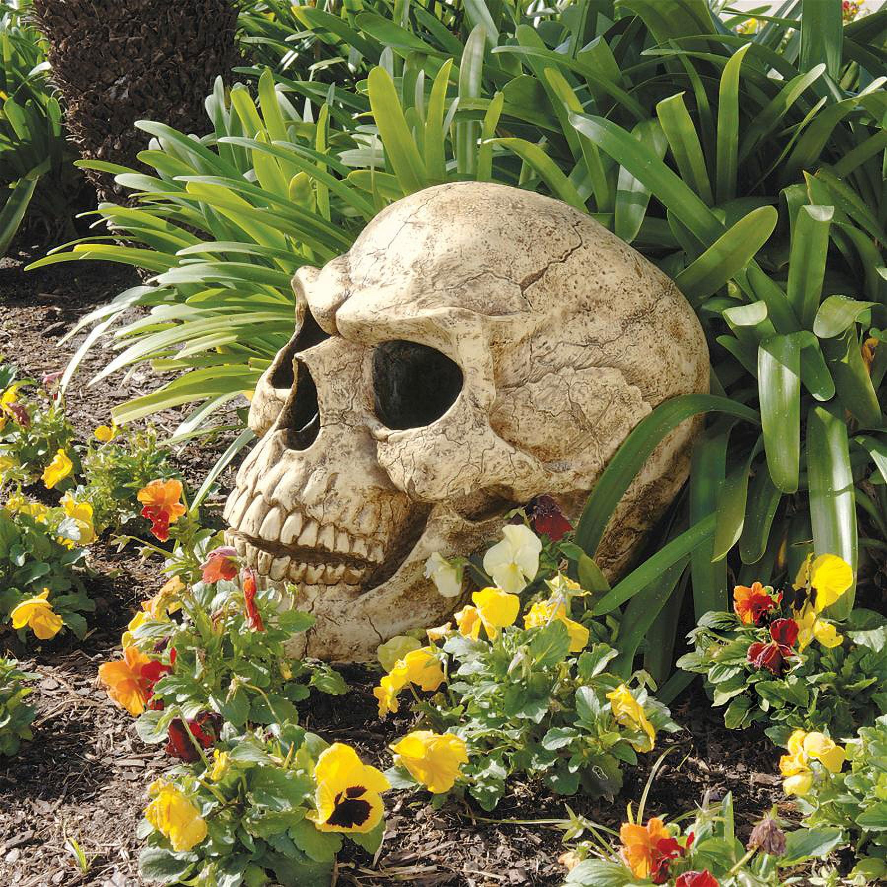 Giant Beige Resin Halloween Skeleton Skull Sculpture