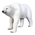 thumbnail image 1 of Design Toscano The Polar Bear on the Prowl Statue, 1 of 1