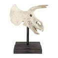 thumbnail image 1 of Design Toscano Triceratops Dinosaur Skull Fossil Statue on Museum Mount, 1 of 9