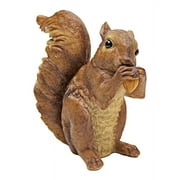 Design Toscano Woodland Squirrel Statue: Chomper