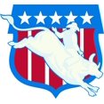 thumbnail image 1 of Design With Vinyl Artwork animals Stars And Stripes Bull Rider Rodeo Wall Decal for Boys - Cowboys Sports Bucking Roping Themed Décor - Size: 24 In x 24 In, 1 of 3