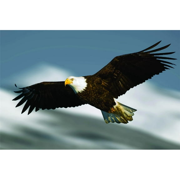 Design With Vinyl Artwork Flying Bald Eagle Bird Soaring Strength Wall Decal for Children - Highest-Flying Birds King Of Prey Themed Décor - Size: 5 In x 8 In