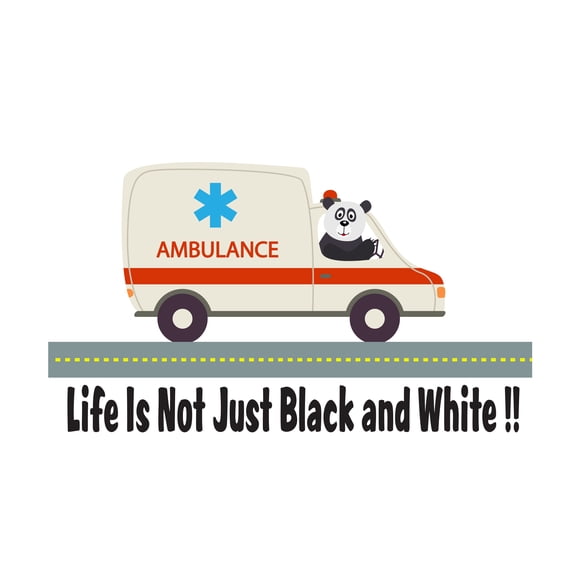 Design With Vinyl- Life is not just Back and White - Peel and Stick Giant Wall Decal- Kids Wall Vinyl Stickers for Room Decoration- Size : 10" x 6".