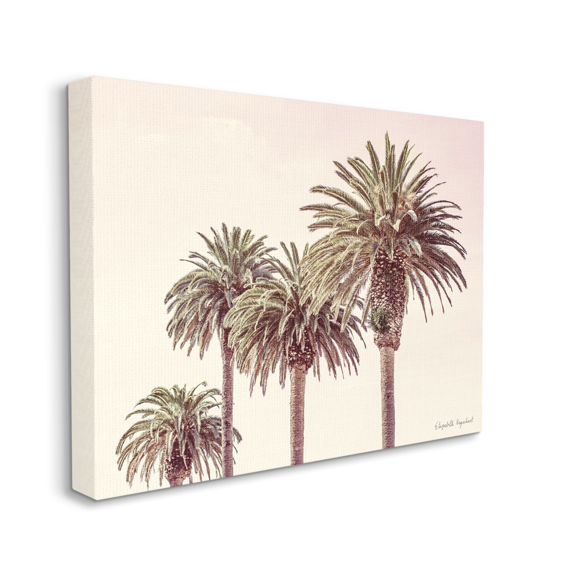 Design by Elizabeth Urquhart Tropical Palm Trees Sun Bleached Summer 30 in x 24 in Painting Canvas Art Print, by Stupell Home Décor