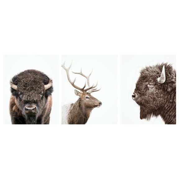 DesignOvation Forest Animals Unframed Art Prints 8” x 10” Set of 3 by Amy Peterson