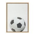 thumbnail image 1 of DesignOvation Sylvie Color Soccer Ball Portrait Framed Canvas Wall Art, 18x24 Natural, Sporty Wall Decor For Home, 1 of 7