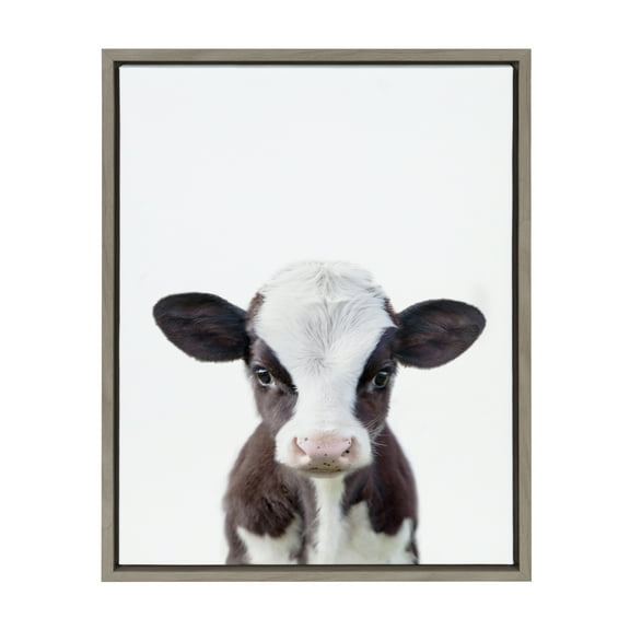DesignOvation Sylvie Baby Cow Portrait Framed Canvas Wall Art By Amy Peterson, 18x24 Gray, Cute Baby Animal Home Decor For Living Room, Bedroom, Or Nursery