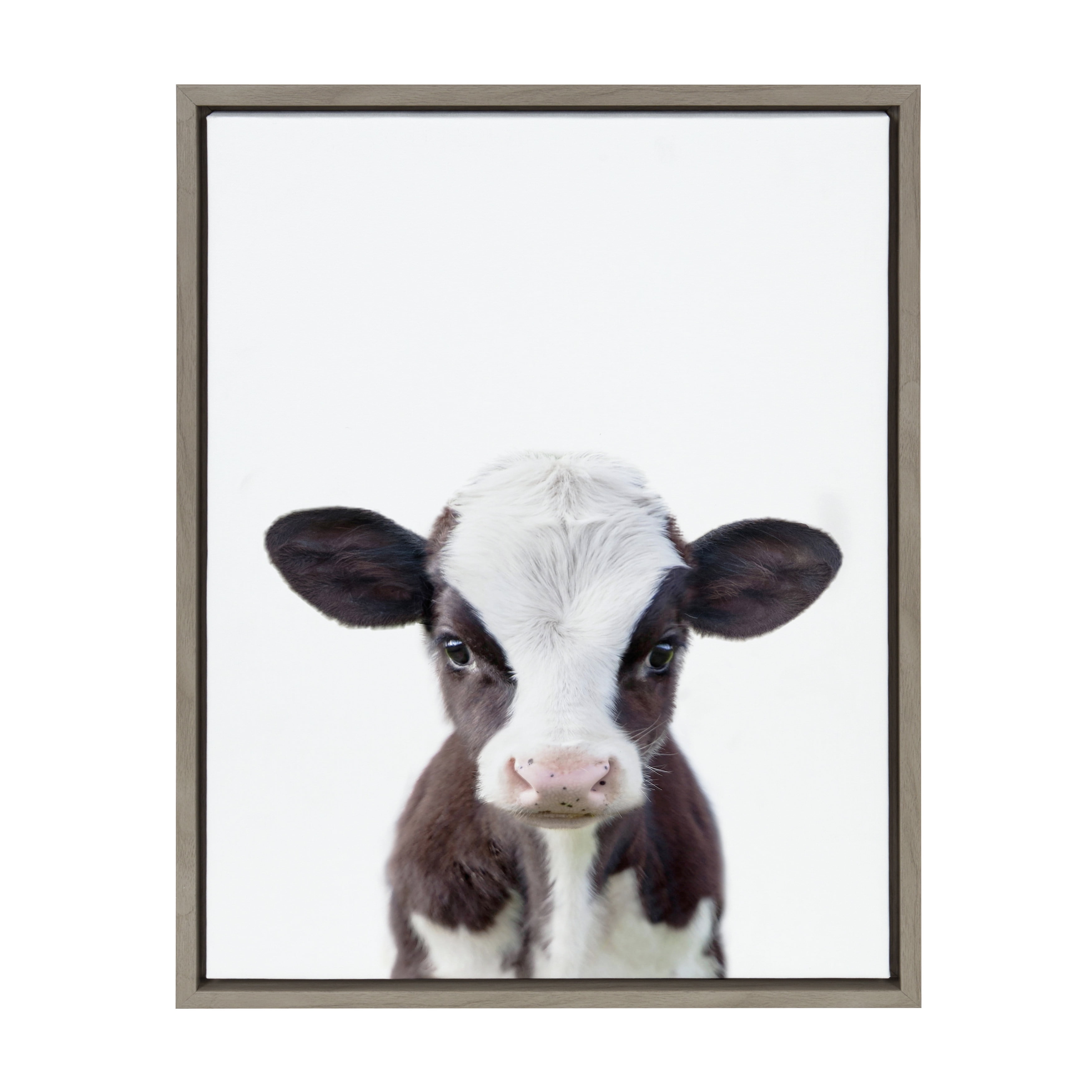 Gray Framed Canvas Baby Cow Portrait for Nursery, 18x24