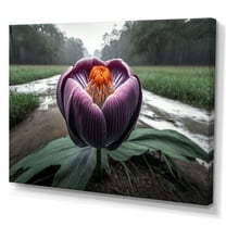 Designart A Blooming Crocus Flower In Winter II Canvas Wall Art