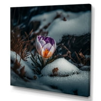 Designart A Blooming Crocus Flower In Winter III Canvas Wall Art