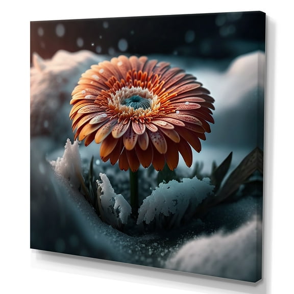 Designart A Blooming Gerbera Daisy Flower In Winter Canvas Wall Art