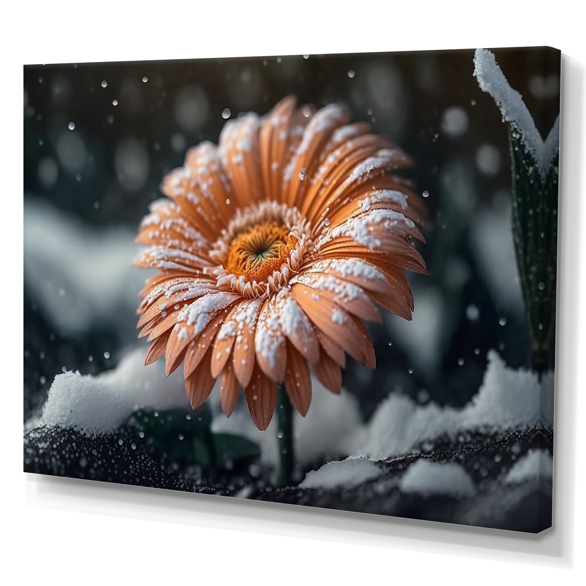Designart A Blooming Light Orange Gerbera Flower In Winter I Canvas Wall Art