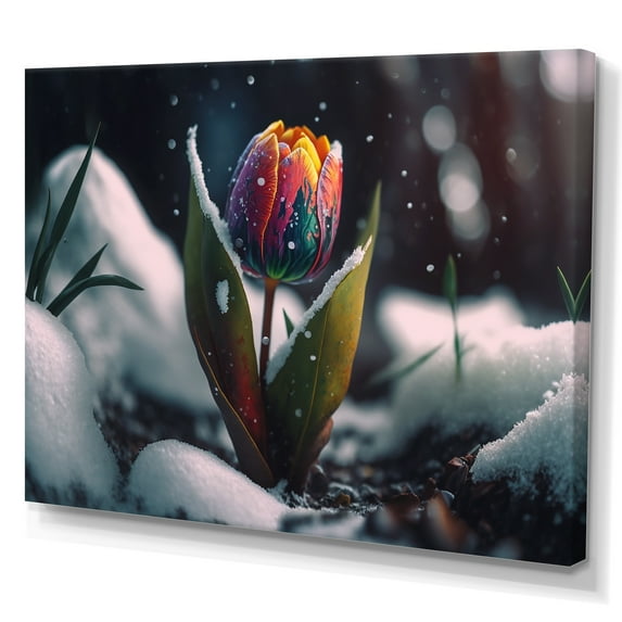 Designart A Blooming Multicolor Tulip Flower In Winter I Canvas Wall Art