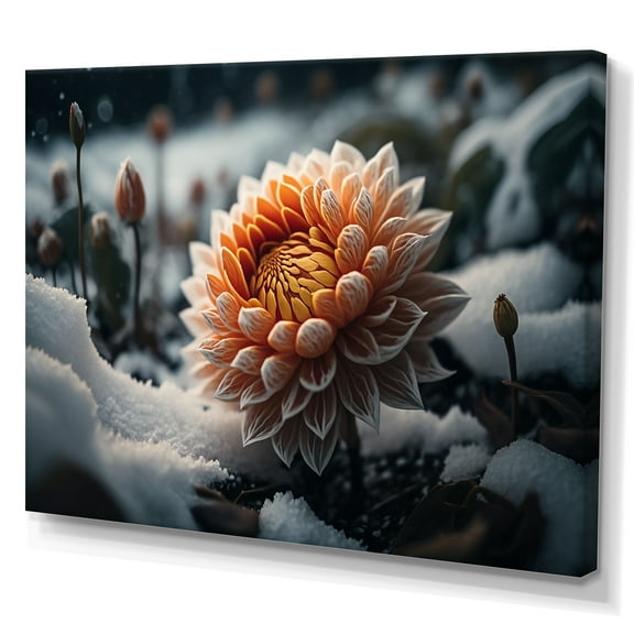 Designart A Blooming Orange Dahlia Flower In Winter III Canvas Wall Art