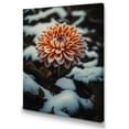thumbnail image 1 of Designart A Blooming Orange Dahlia Flower In Winter IV Canvas Wall Art, 1 of 5
