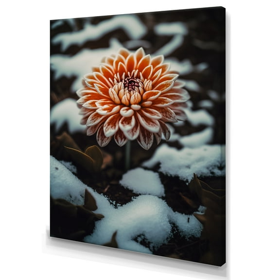 Designart A Blooming Orange Dahlia Flower In Winter IV Canvas Wall Art