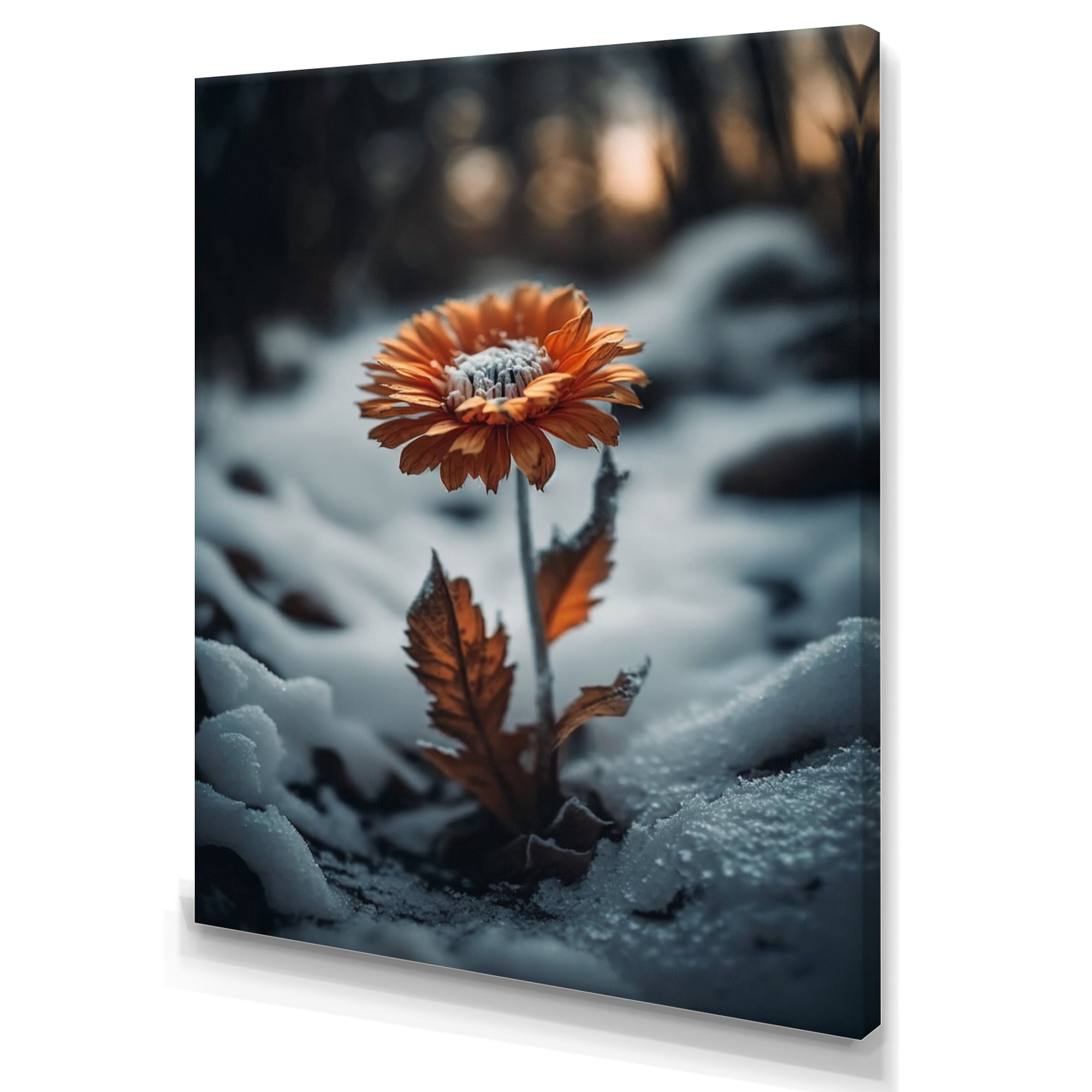 Designart A Blooming Orange Daisy Flower In Winter II Canvas Wall Art