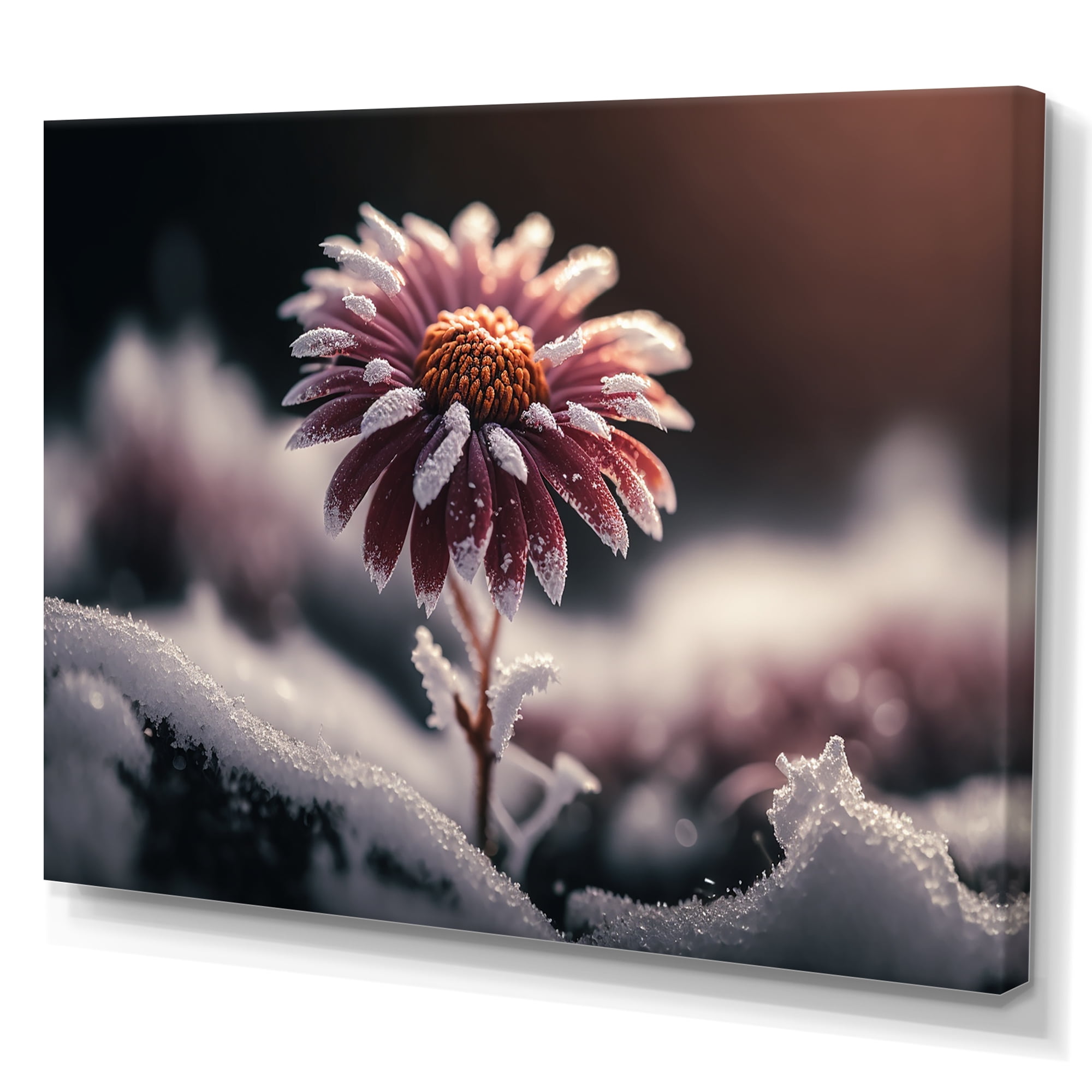Designart A Blooming Pink Daisy Flower In Winter I Canvas Wall Art