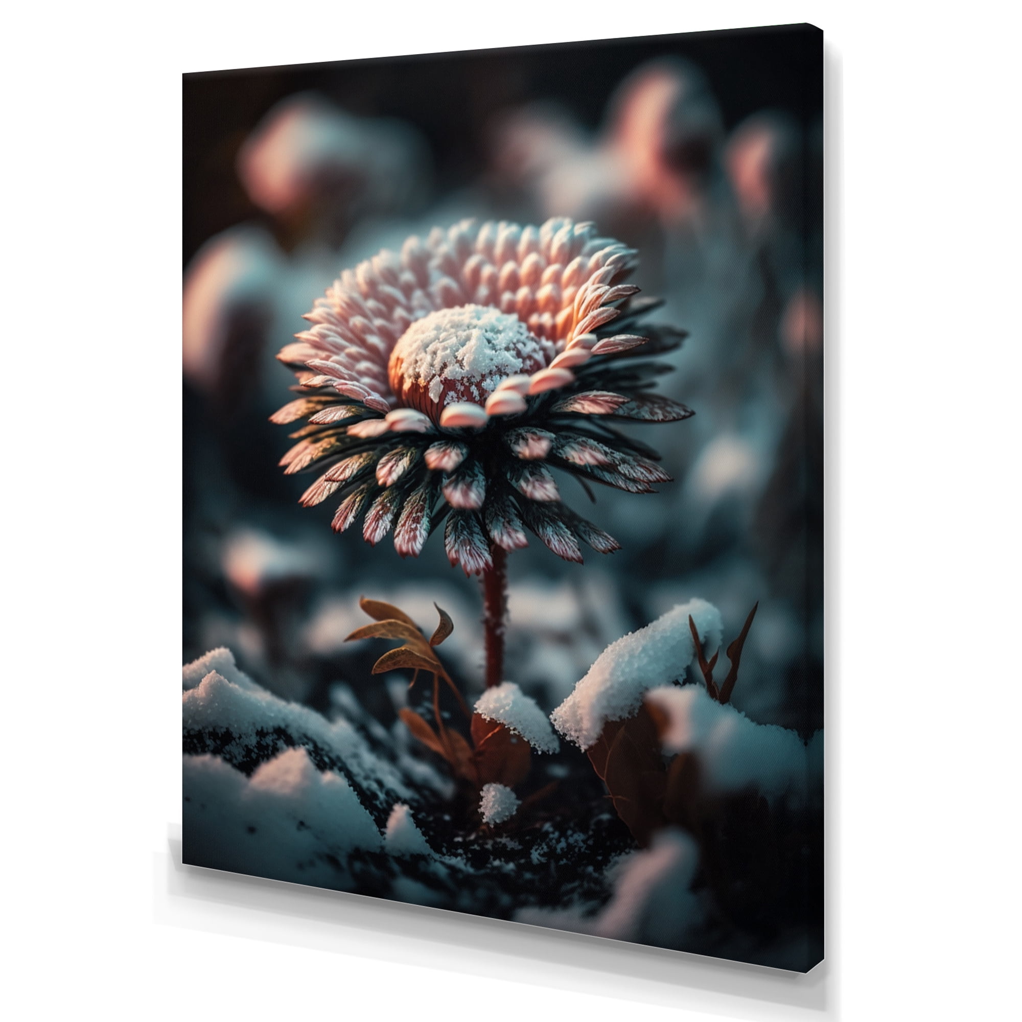 Designart A Blooming Pink Daisy Flower In Winter II Canvas Wall Art