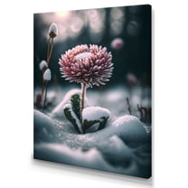 Designart A Blooming Pink Daisy Flower In Winter III Canvas Wall Art